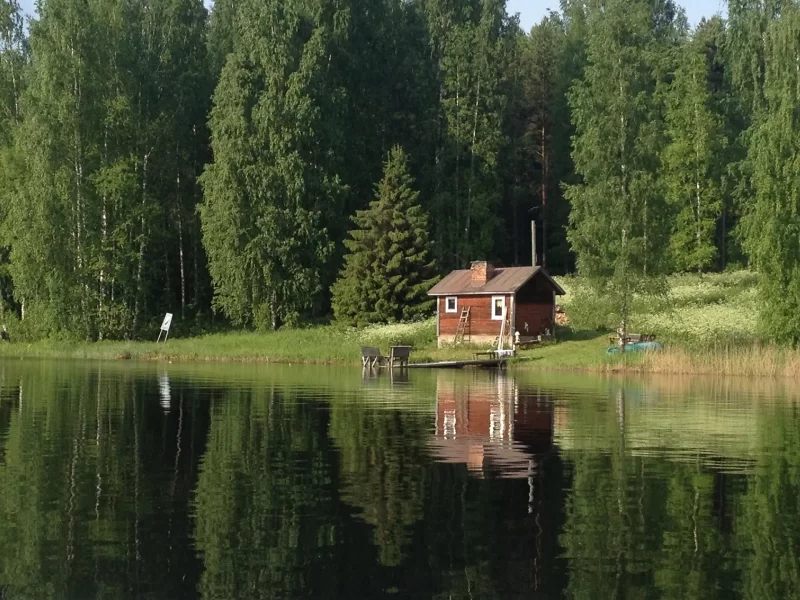 Kansanl&auml;&auml;kint&auml;&auml; ja kalevalaista j&auml;senkorjausta