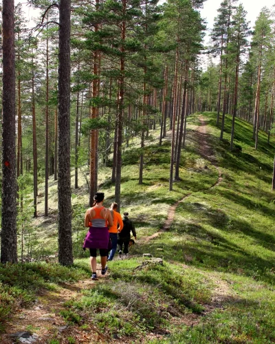 Hieronta ja kalevalainen j&auml;senkorjaus manuaalisena perinnehoitona