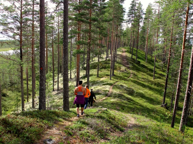 Hieronta ja kalevalainen j&auml;senkorjaus manuaalisena perinnehoitona